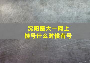 沈阳医大一网上挂号什么时候有号