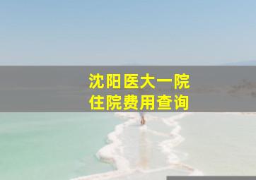 沈阳医大一院住院费用查询