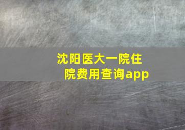 沈阳医大一院住院费用查询app