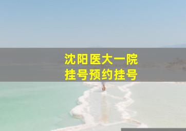 沈阳医大一院挂号预约挂号