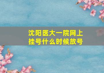 沈阳医大一院网上挂号什么时候放号