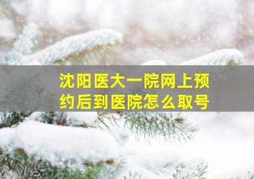 沈阳医大一院网上预约后到医院怎么取号