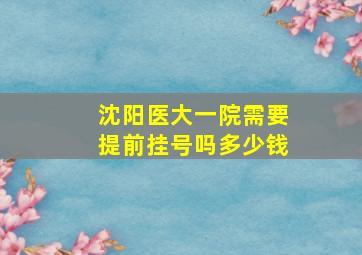 沈阳医大一院需要提前挂号吗多少钱