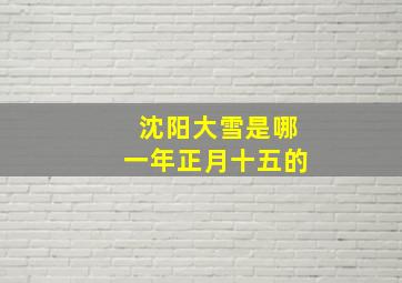 沈阳大雪是哪一年正月十五的