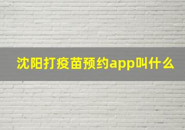 沈阳打疫苗预约app叫什么