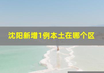 沈阳新增1例本土在哪个区