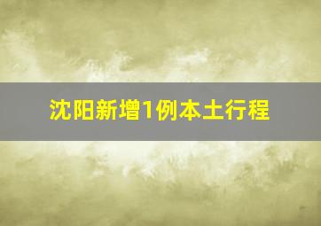 沈阳新增1例本土行程