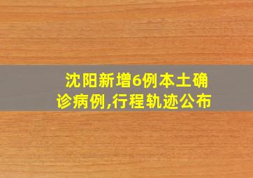 沈阳新增6例本土确诊病例,行程轨迹公布