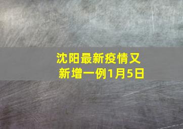 沈阳最新疫情又新增一例1月5日