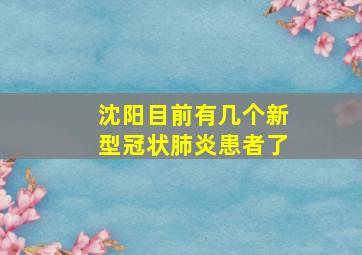 沈阳目前有几个新型冠状肺炎患者了