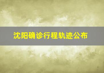 沈阳确诊行程轨迹公布