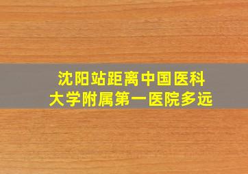 沈阳站距离中国医科大学附属第一医院多远