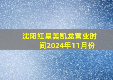 沈阳红星美凯龙营业时间2024年11月份