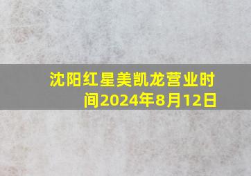 沈阳红星美凯龙营业时间2024年8月12日