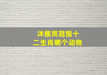 沐猴而冠指十二生肖哪个动物