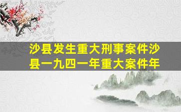 沙县发生重大刑事案件沙县一九四一年重大案件年