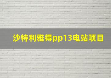 沙特利雅得pp13电站项目