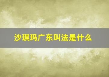 沙琪玛广东叫法是什么