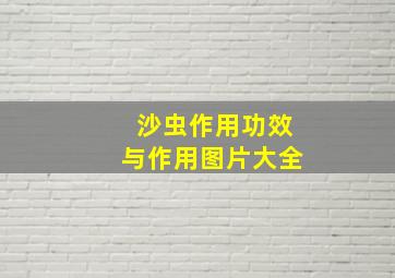 沙虫作用功效与作用图片大全