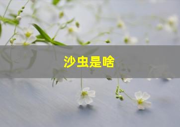 沙虫是啥