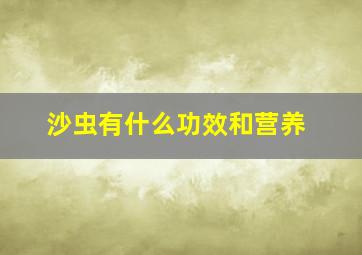 沙虫有什么功效和营养