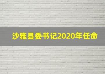 沙雅县委书记2020年任命