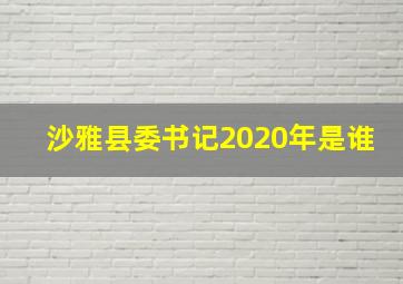 沙雅县委书记2020年是谁