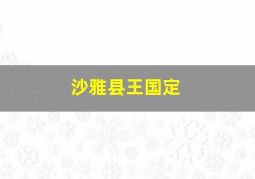 沙雅县王国定