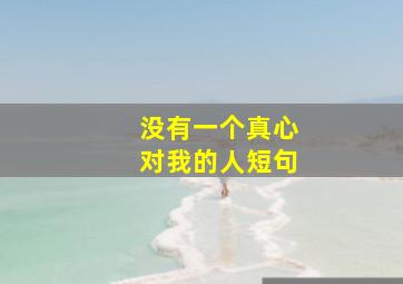 没有一个真心对我的人短句