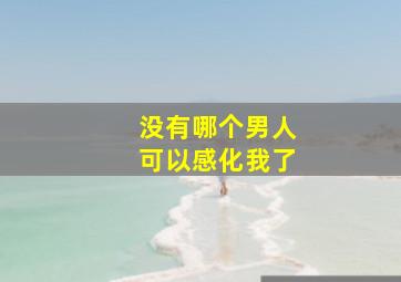 没有哪个男人可以感化我了