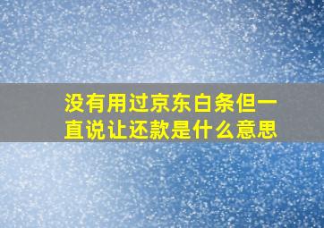 没有用过京东白条但一直说让还款是什么意思