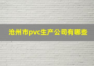 沧州市pvc生产公司有哪些