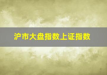 沪市大盘指数上证指数