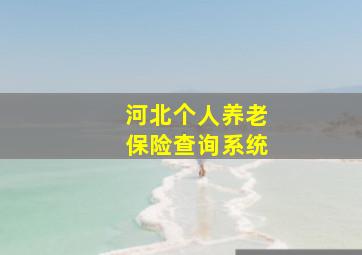 河北个人养老保险查询系统