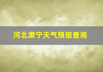 河北肃宁天气预报查询