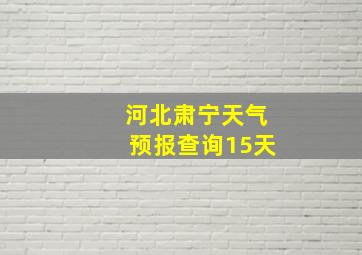 河北肃宁天气预报查询15天