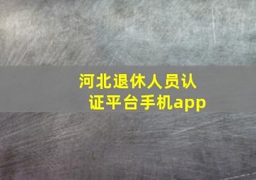 河北退休人员认证平台手机app