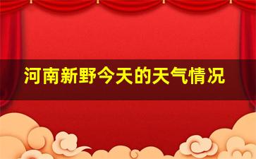 河南新野今天的天气情况