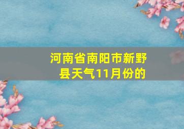 河南省南阳市新野县天气11月份的