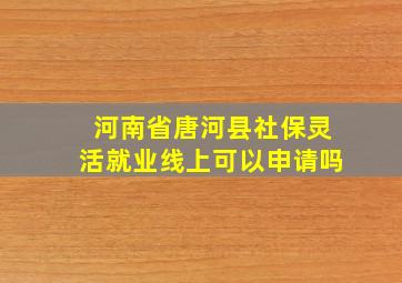 河南省唐河县社保灵活就业线上可以申请吗