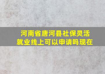 河南省唐河县社保灵活就业线上可以申请吗现在