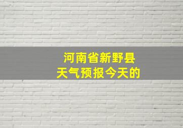 河南省新野县天气预报今天的