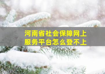 河南省社会保障网上服务平台怎么登不上