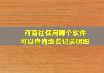 河南社保用哪个软件可以查询缴费记录明细