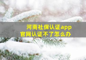 河南社保认证app官网认证不了怎么办