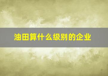 油田算什么级别的企业