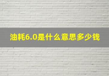 油耗6.0是什么意思多少钱