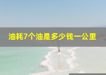 油耗7个油是多少钱一公里