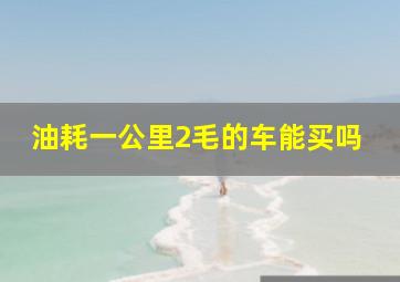 油耗一公里2毛的车能买吗