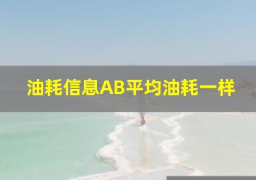 油耗信息AB平均油耗一样